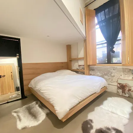 Extraordinary 3 Bedrooms Gigantic Loft Apartment