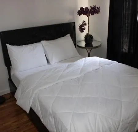 Cozy Apartment New York
