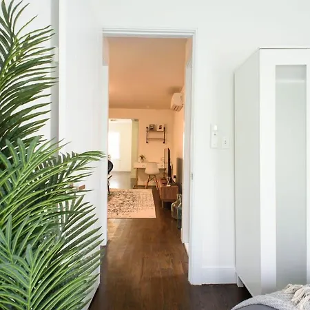 Apartment 39-3 Newly Renovated 3 Br New York