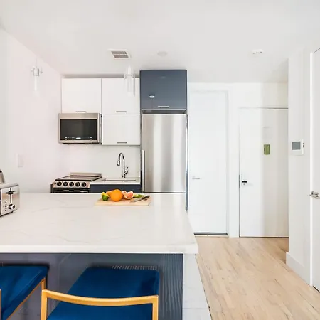 1597-14 New Renovated Rime Ues New York