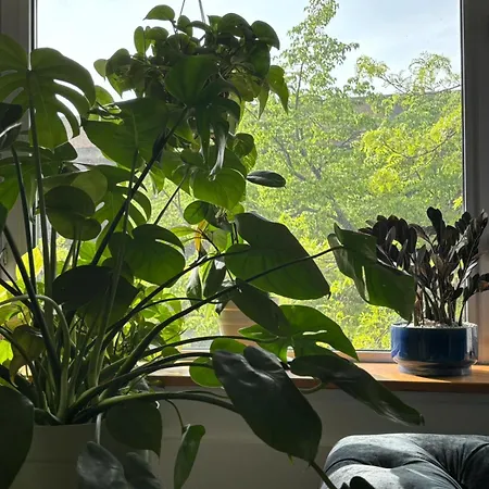 4 Peeps Inwilliamsburg Apartment *