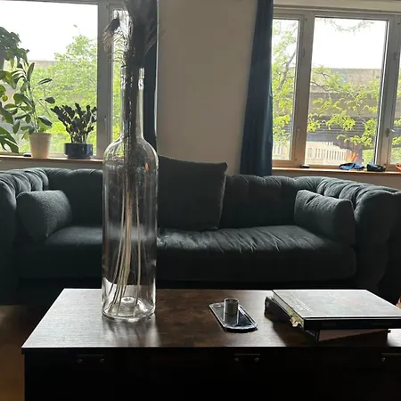 4 Peeps Inwilliamsburg Apartment *
