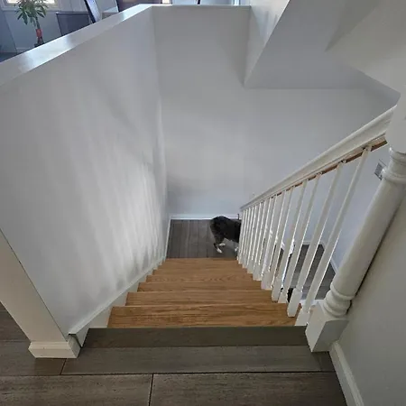 Beautifully Renovated 3-bedroom Guest Villa *