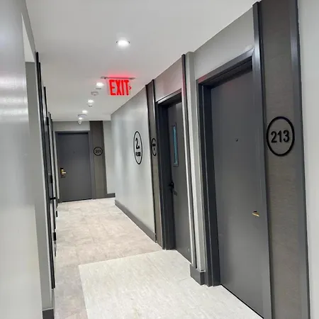 Rose Bronx Brand New Hotel