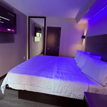 Hotel The Vine Bronx New New York