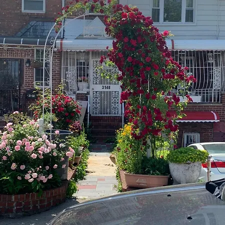 Cheerful 2 Bed In Heart Of Queens New York