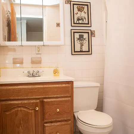 Sunny Fully Furnished In Chelsea *