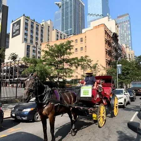 Al Shami 408 New York