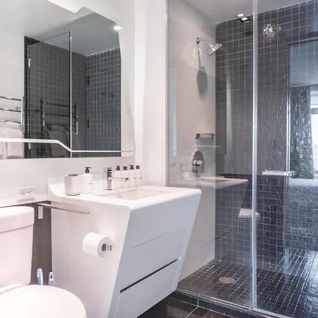 Financial District 1br W Wd Gym Elevator Nyc-1364 Apartment