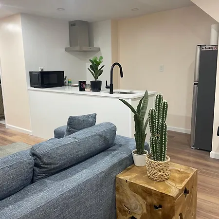 Modern Brooklyn Escape 1