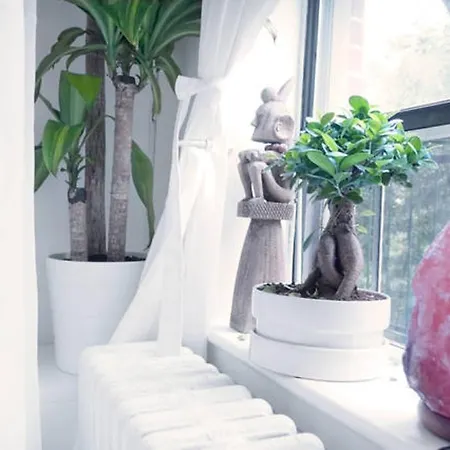 Apartment Sunny Chelsea Getaway