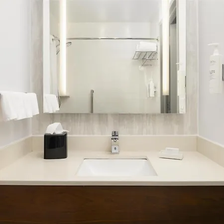 Hotel Hilton Garden New York/midtown Park Avenue New York