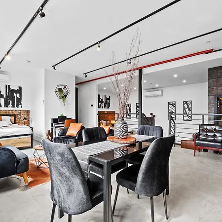 Brooklyn Bay Lofts - Modern Chic With Rooftop Terrace Apartment