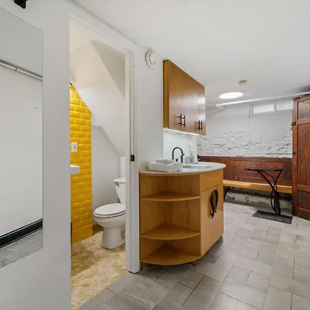 Tripoli Artisan Lofts - Designer Bushwick Lofts With Rooftop Terrace * New York