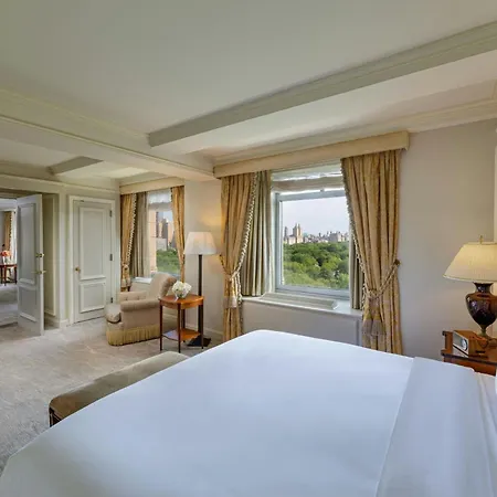 The Ritz-carlton New York, Park Hotel