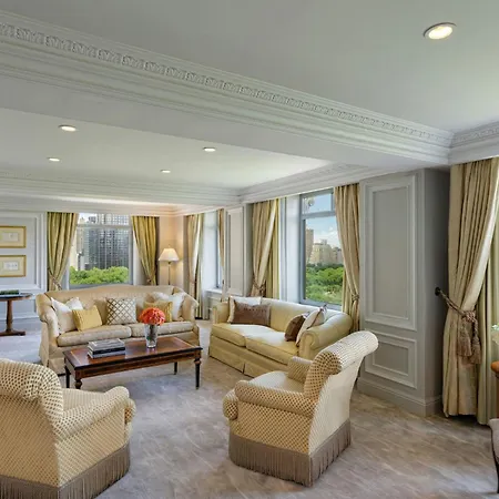 Hotel The Ritz-carlton New York, Park
