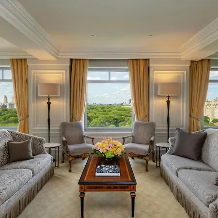 The Ritz-carlton New York, Park