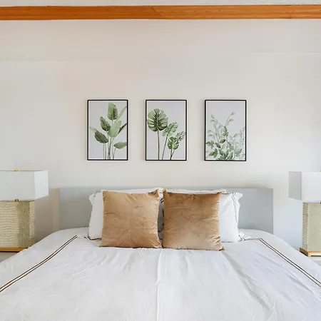 Apartment Contemporary 2 Bed 2 Bath Bright And Sunny *