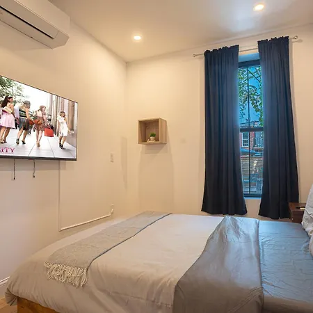 Modern 2br Basement Brooklyn And Backyard Apartment *