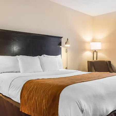 Comfort & Laguardia Airport