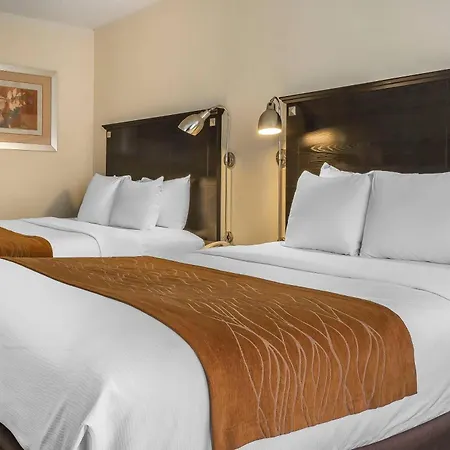 Comfort & Laguardia Airport Hotel New York