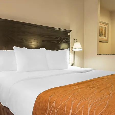 Comfort & Laguardia Airport Hotel