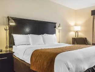 Comfort & Laguardia Airport Hotel 4*