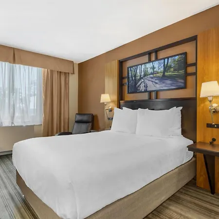 Western Queens Gold Coast Hotel 3*