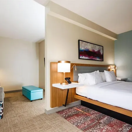 Hotel Hilton Garden New York/staten Island New York