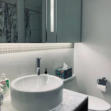 Entire Luxury Midtown With Pool, Gym, And Sauna Apartment *
