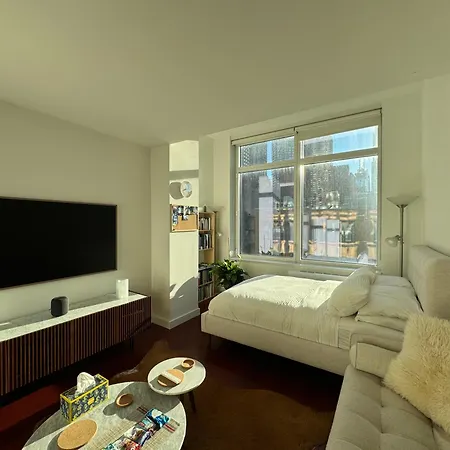 Entire Luxury Midtown With Pool, Gym, And Sauna Apartment *