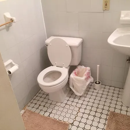 Large One Bedroom With Cozy Backyard Apartment