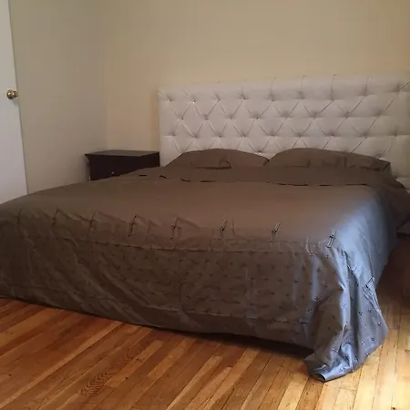 Large One Bedroom With Cozy Backyard *