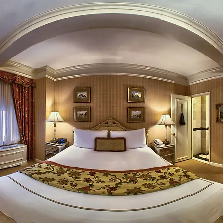 Elysee By Library Collection New York