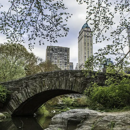 The Pierre, A Taj Hotel, Hotel New York
