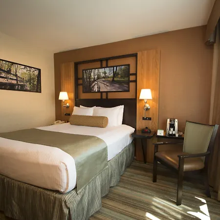 Western Queens Gold Coast Hotel 3*