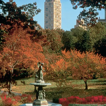 The Carlyle, A Rosewood 5* New York