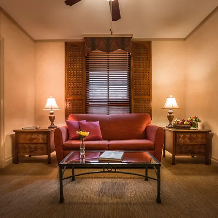 Casablanca By Library Collection 4*