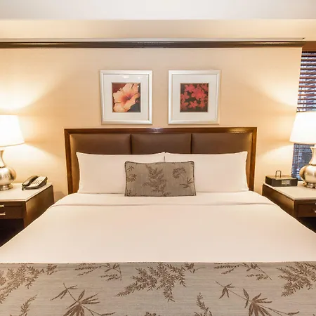 The Belvedere Hotel 3*