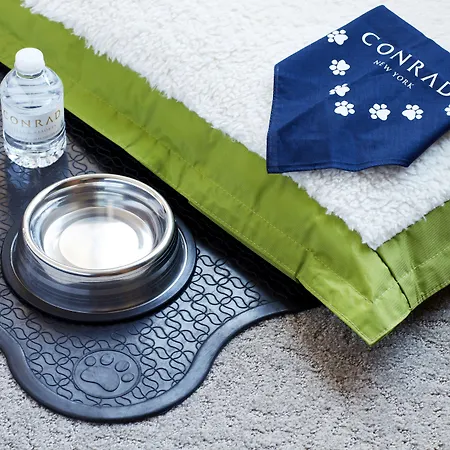 Conrad Downtown Hotel 5*