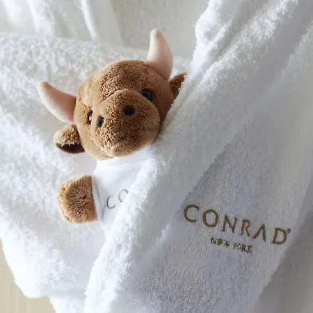 Conrad Downtown 5*