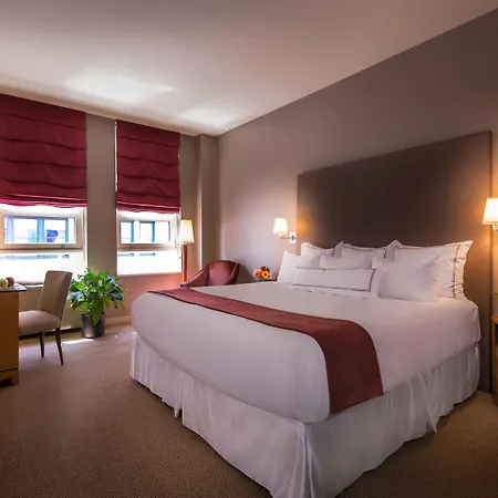 Giraffe By Library Collection Hotel