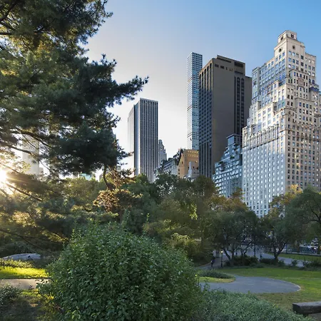 Hotel The Ritz-carlton New York, Park New York