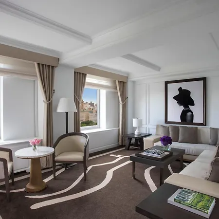 Hotel The Ritz-carlton New York, Park New York