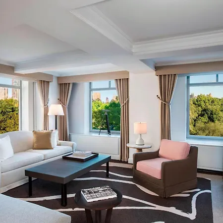 The Ritz-carlton New York, Park Hotel