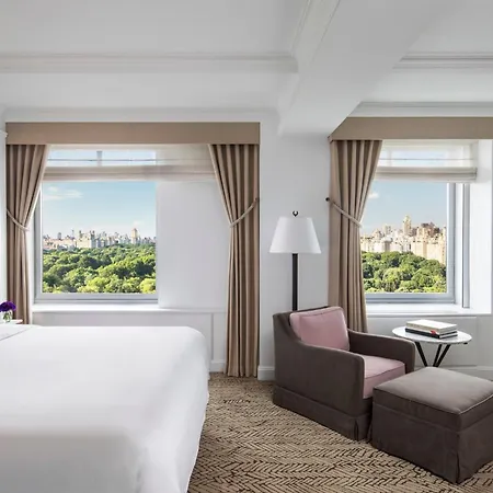 The Ritz-carlton New York, Park New York