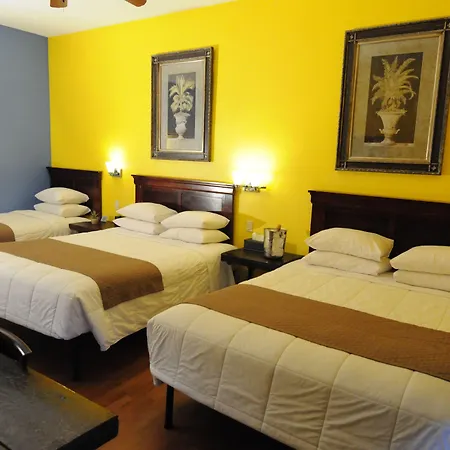 Hotel Sohotel