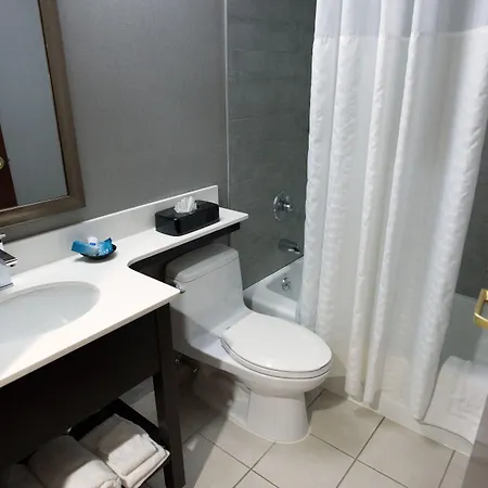 Western Jfk Airport Hotel 3*