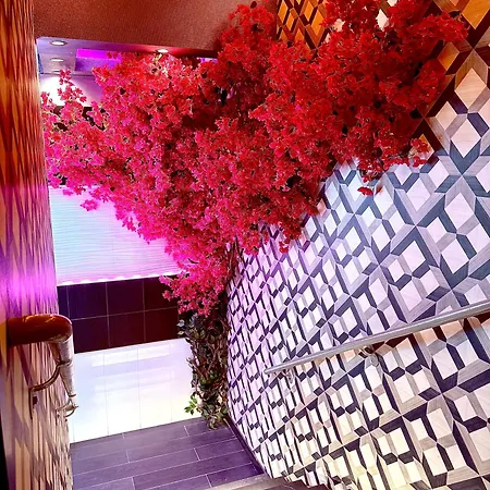 Hotel Umbrella Bronx *