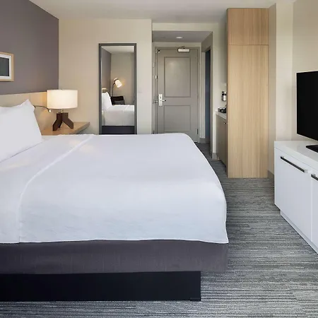 Hilton Garden Queens Jfk Hotel